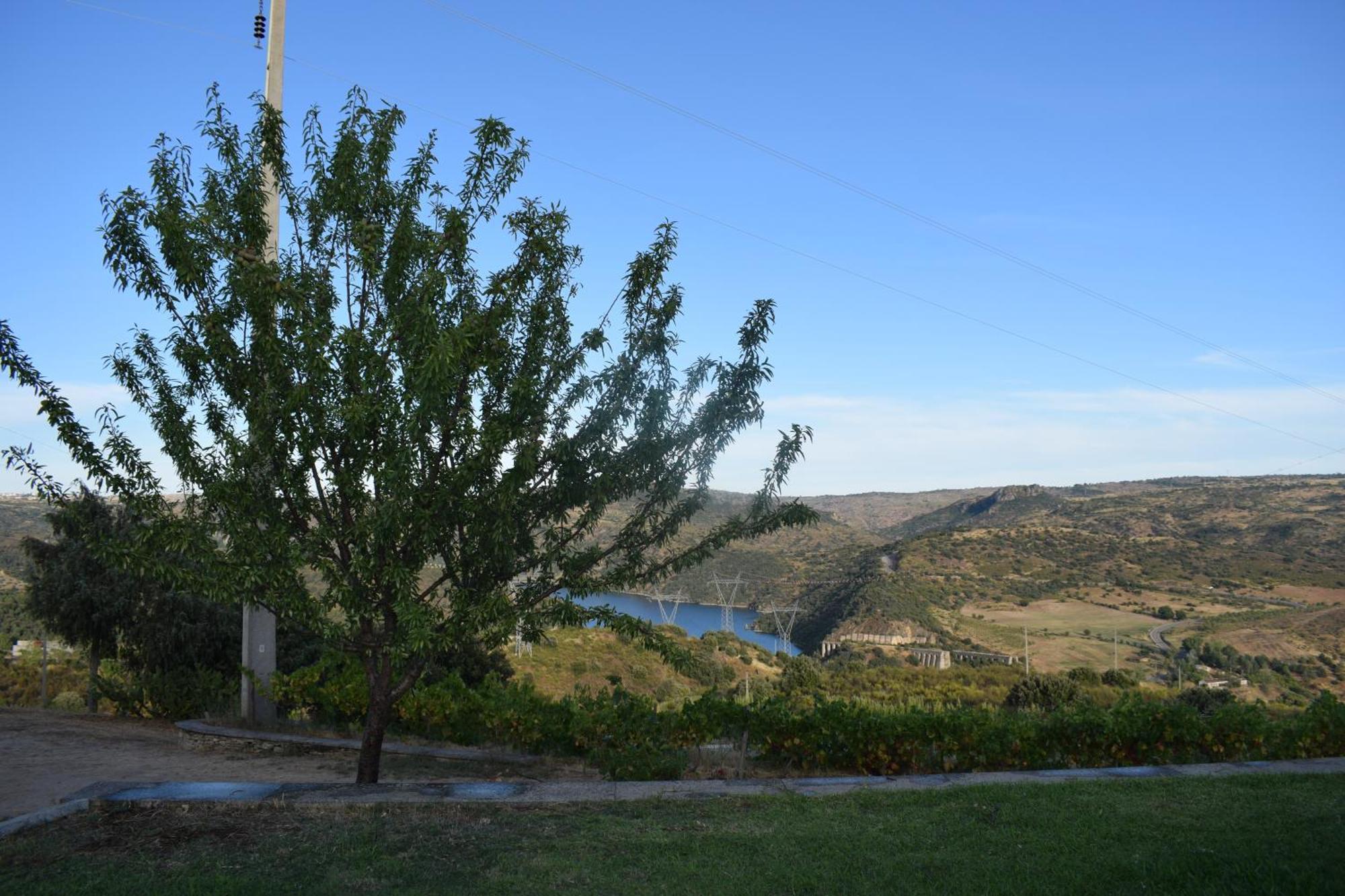 Douro Natura Бенпошта Экстерьер фото